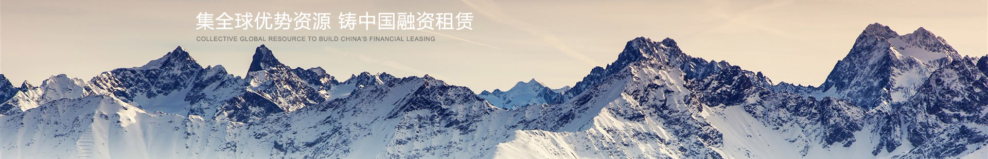 业务领域